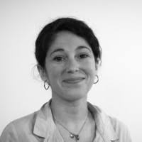 2500+ perfiles de «Handal Handal»