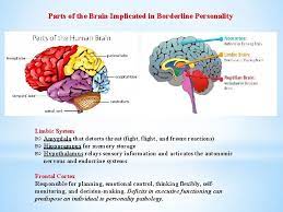 Better Understanding Borderline Personality Disorder And Adapting Dialectical