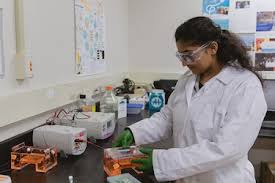 Online Biomedical Engineering Degree Programs