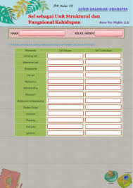 Sel sendiri memiliki bentuk dan ukuran yang beraneka ragam. Ejercicio De Perbedaan Sel Hewan Dan Sel Tumbuhan