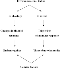 Endemic goiter — goiter that is endemic to a region, usually because the soil and hence the diet has a low iodide content; Pdf The Role Of Iodine In The Evolution Of Thyroid Disease In Greece From Endemic Goiter To Thyroid Autoimmunity Semantic Scholar
