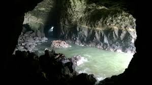 Zobrazte recenze, články a fotografi z sea lion caves na webu tripadvisor. Sea Lion Caves In Florence Oregon Celebrate Big