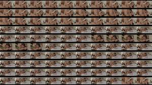 Kajal enjoyed and banged in bed by me - XNXX.COM