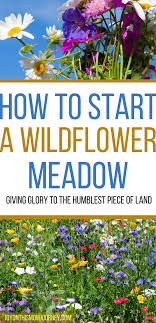A Wildflower Meadow Is A Help Growing Your Own Food Bees Love It In 2020 Wild Flower Meadow Grow Wildflowers Wildflower Garden