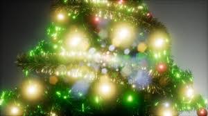 We did not find results for: Christmas Tree Lights On Stock Video Footage Royalty Free Christmas Tree Lights On Videos Pond5