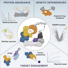 We demonstrate the performance of the algorithm on a number of artificial and real world datasets. Identification And Selectivity Profiling Of Small Molecule Degraders Via Multi Omics Approaches Sciencedirect