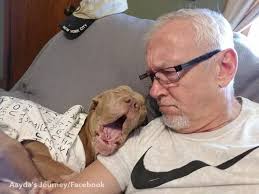 Family Heals Starving Dog After "Hero's" Real Identity Is Revealed