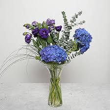 This superb hydrangea presents magnificent balls of bluish flowers. Gift Blue Hydrangea Flower Arrangement Ferns N Petals