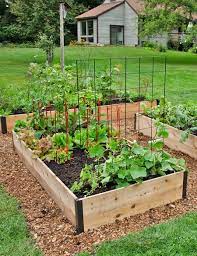deep root cedar raised beds 4 8217 wide building a raised garden cedar raised garden sloped garden