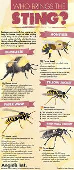 Busy bee termite & pest control. Pin On School