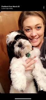 Hi everyone this is my sweet boy Oakley. He's in the ER vet fighting what  they believe to be imha his blood count keeps dropping right now it's  currently at 15. If