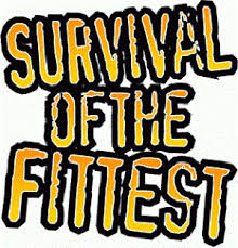 Survival of the fittest — {n. Survival Of The Fittest Peatix