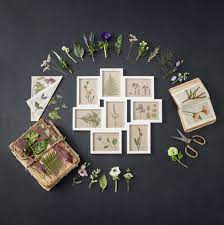 plusieurs images valent mieux que mille mots cadre pele meme vaxbo ikea ikeafrance cadre fleurs ikeaddict home homedeco ikea catalog ikea ikea france