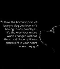 Pet loss quotes cat quotes animal quotes i love cats crazy cats pet loss grief pet sympathy cards sympathy quotes pet remembrance. Trendy Dogs Quotes Losing A 43 Ideas Pet Quotes Dog Losing A Dog Dog Quotes