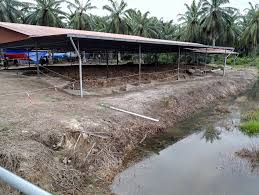 Sungai batu antara tamadun terawal dunia 788bc. Tapak Peleburan Besi Sungai Batu Bukti Kehebatan Tamadun Melayu Zaman Dahulu