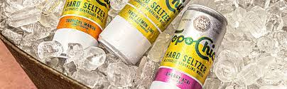 Topo chico's hard seltzer is missing one big thing and i have never, ever met a canned ranch water i like. Topo Chico Hard Seltzer Tropical Mango Einweg Dose 12 X 330 Ml Amazon De Lebensmittel Getranke