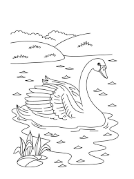 Free printable swan coloring pages. Swan Coloring Pages Best Coloring Pages For Kids