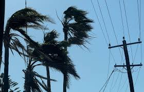 Saffronxxrose Nue - Easy Appointments Available