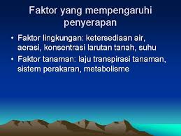 Oleh itu, soal selidik telah diedarkan kepada 300 orang. Penyerapan Dan Pengangkutan Air Organ Yang Menyerap Air