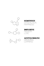 Pin By Tyra Davis On Dovme Serotonin Tattoo Trendy Tattoos Rose Tattoos