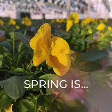 1688 gregory rd (1,947.64 mi) saint catharines, on, canada l2r 6p9. Sunshine Express Garden Centre Home Facebook