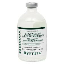 Image result for Gentamicin