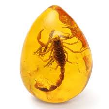 Interestingly, this ultrasonic pest repeller will be a great choice irrespective of whether you are looking to install it in a domestic or commercial. Insect Stone Scorpions Inclusion Amber Baltic Pendant Necklace Decorations Sale Banggood Com