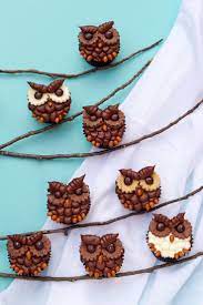 How To Make Simple Owl Cupcakes With A Video Owl Cupcakes Owl Cakes Cupcake Tutorial
