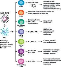 COVID-19 - Wikipedia