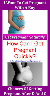 Pin On Get Pregnant Naturally Pregnancy