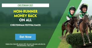 Paddy power stayers' hurdle betting trends. Paddy Power Non Runner No Bet On All Cheltenham Festival Races Gg Co Uk Gg Co Uk