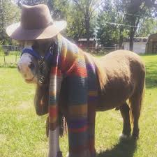 Maybe you would like to learn more about one of these? Geek Knits Home Facebook