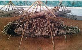 Ancient burial site in Windover, Florida, reveals compassionate  hunter-gatherers