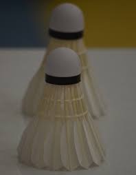 Stevenson Dominates, Repeats As Badminton State Champions