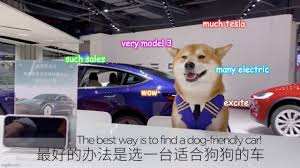It really needs to not come to that point, and it would look much better. Tesla S Absolutely Perfect Model 3 Doge Ad Is A Love Letter To Animal Lovers