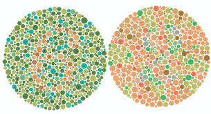 Eyes Vision Color Vision Test For Eyes