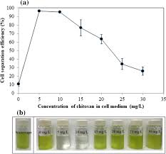Asia's leader in money services, digital payments and mobile communications. Harvesting Of Microalgae From Synthetic Fertilizer Wastewater By Magnetic Particles Through Embedding Flocculation Strategy Springerlink