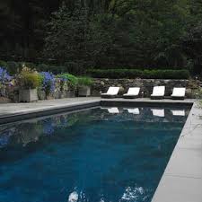 Pool Dark Plaster Design Ideas Pictures Remodel And Decor Pool Pool Designs Pool Fountain