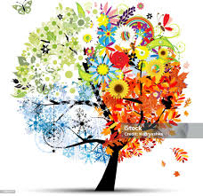 Four Seasons Spring Summer Autumn Winter Art Tree Beautiful ...