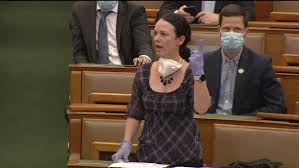 She has been a member of the national assembly, since 2010 from p. Szabo Timea Megtagadna A Jarvanyugyi Segitseget A Kulhoni Magyaroktol Karpatalja