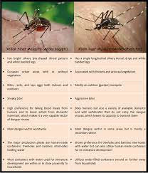 Bed bug killer by ecoraider travel. Mosquitoes And Zika Virus Hearts Pest Management