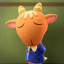 Maybe you would like to learn more about one of these? Billy Animal Crossing Wiki Nookipedia