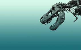 Dinossauros Wallpaper Pesquisa Google Dinosaur Wallpaper Dinosaur Background Dinosaur Pictures