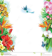 Download high quality tropical flowers clip art from our collection of 65,000,000 clip art graphics. Flower Borders Images Free Google Search Clip Art Borders Free Watercolor Flowers Colorful Drawings