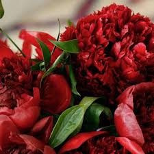 You'll get 7 the freshest peonies, just cut from a plantation near moscow! Peony Flower Symbolism And Colour Guide Bloom Wild