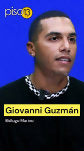 #savethesharks #puertorico #bluekings