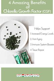 Thicker strands due to nutrients. If You Don T Know Exactly What Chlorella Growth Factor Is Here Are 4 Benefits That Is Has Chlorella Growth Factor How To Increase Energy