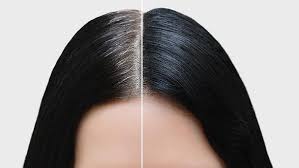 Heavy conditioners will just leave your hair limp. White Hair Treatment In Urdu Black Hair Tips Hakeem Shah Nazir