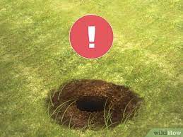How To Find A Yellow Jacket Nest 11 Steps With Pictures