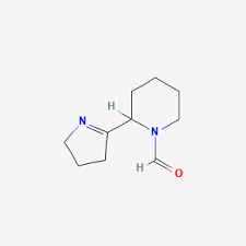 Image result for Dichilus